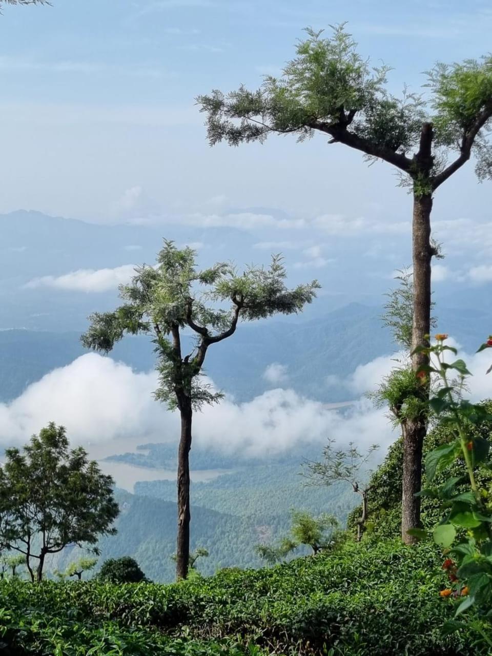 Bed and Breakfast Camellia Heights 1&2 Coonoor Zewnętrze zdjęcie