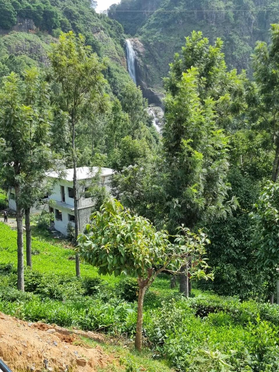 Bed and Breakfast Camellia Heights 1&2 Coonoor Zewnętrze zdjęcie